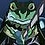 TheLoneFrog